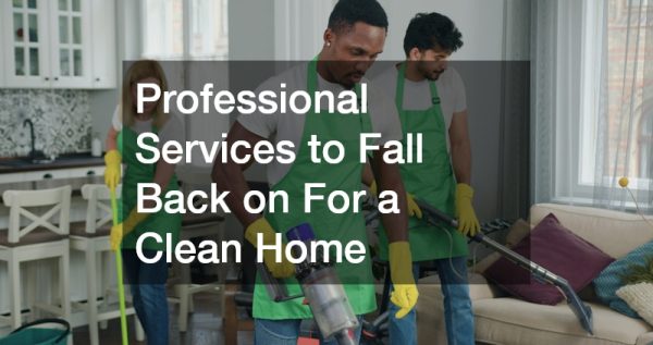 Professional Services to Fall Back on For a Clean Home